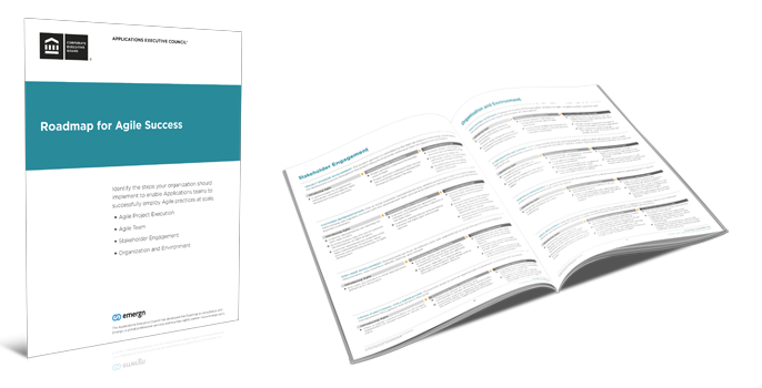 Roadmap for Agile Success Roadmap for Agile Success