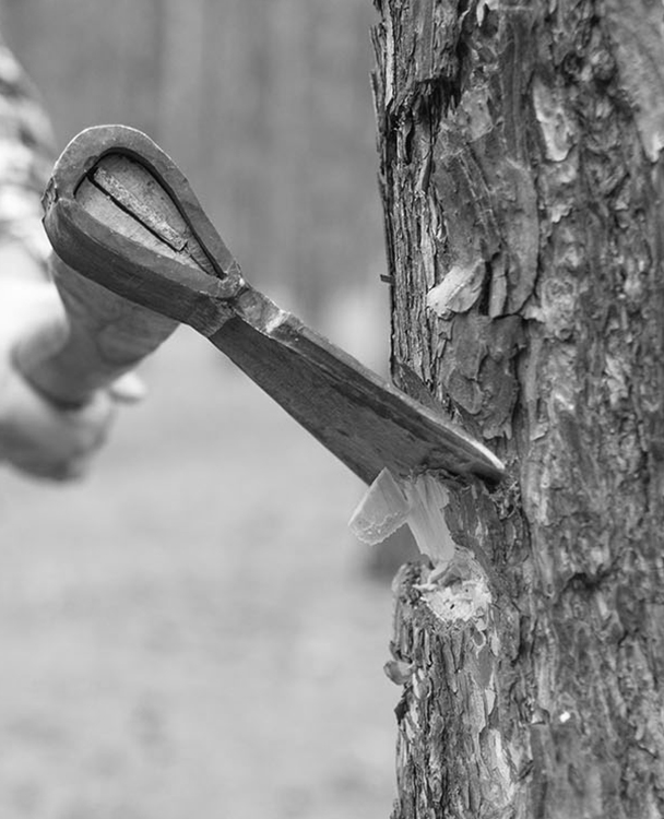 Incremental planning - Emergn